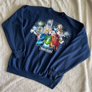 Hanes Navy Disney World Sweatshirt